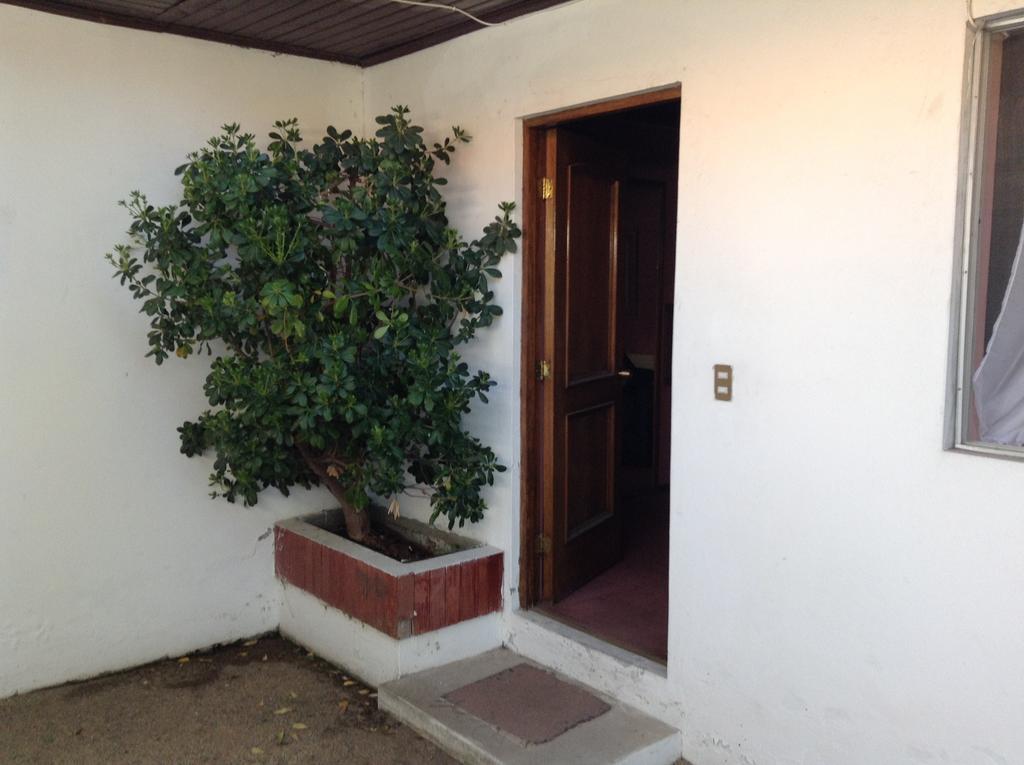 Hotel Alicante Chillan Bagian luar foto